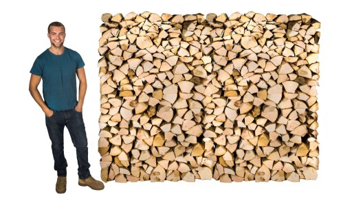 Standard 10" Kiln Dried Logs